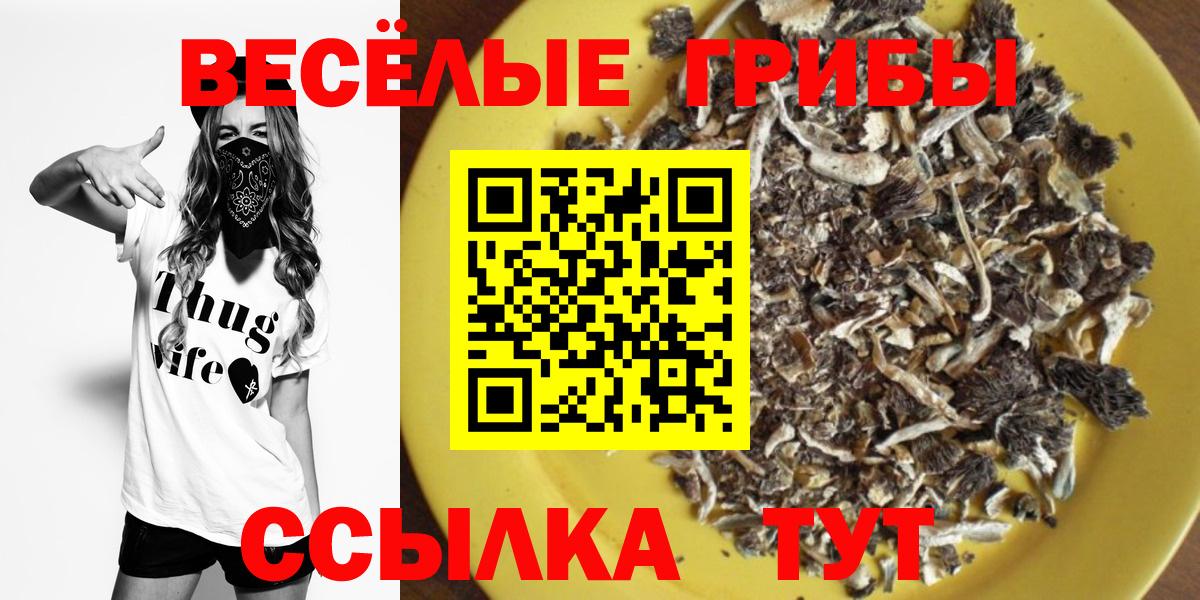 магазин    Вход с VPN  Омск  Галлюциногенные грибы мухоморы  Галлюциногенные грибы GOLDEN TEACHER 