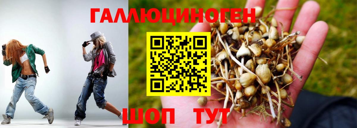 Псилоцибиновые грибы ЛСД Омск
